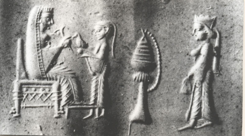 A New Queen Emerges (Esther&nbsp;2)